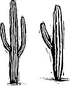 Cartoon Saguaro