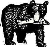 Black Bear