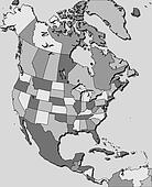 CD 3 北美地图 - 电子地图、地图插图、手绘地