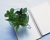 <em>草本 植物 图片</em>和图像。 68,089 草本 植物 可从